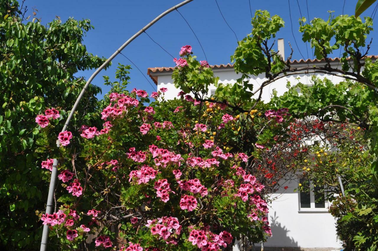 B&B Les Chambres Rooms & Suite Santa Teresa Gallura Dış mekan fotoğraf